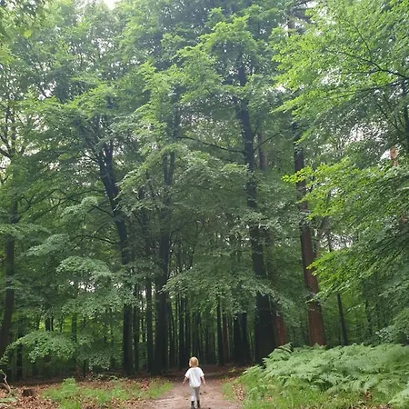 Holiday home Heerlijk Huis Met Grote Tuin, Vlakbij Bos En Heide Ede