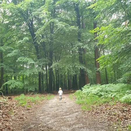 Heerlijk Huis Met Grote Tuin, Vlakbij Bos En Heide
