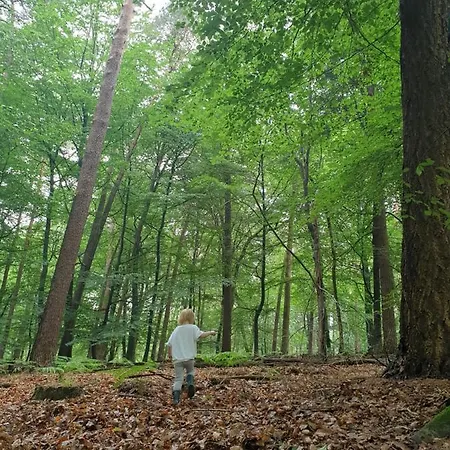 Heerlijk Huis Met Grote Tuin, Vlakbij Bos En Heide